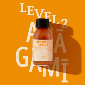 Level 2 ANAGAMI - Journey of the Initiate