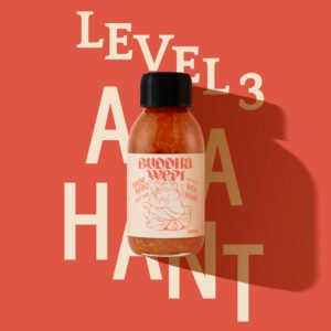 Level 3 ARAHANT - Awakening of the Bodhi